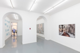 Galleria Fonti