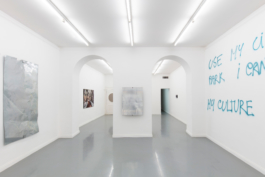 Galleria Fonti