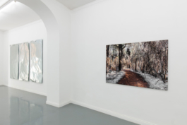 Galleria Fonti