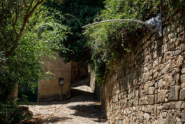 Galleria Fonti